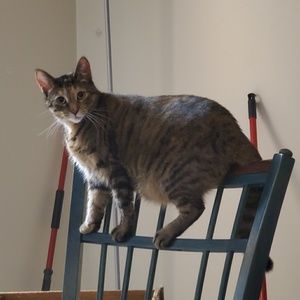 Meet your Posher, Adria